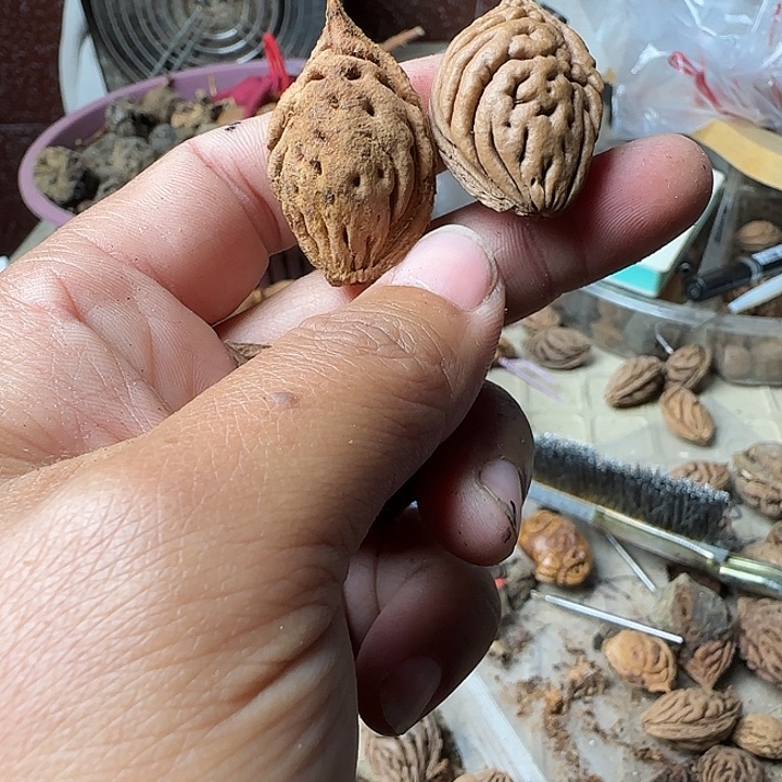 小***仲大叶紫檀（黑酸枝木类）