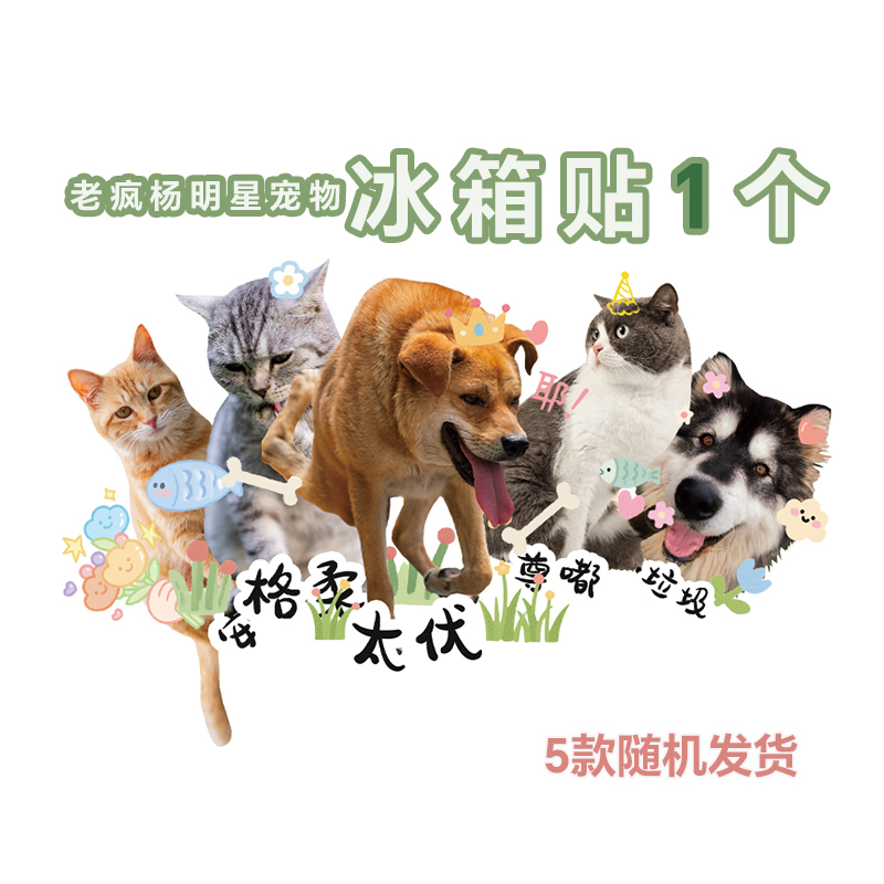 老疯杨宠物明星冰箱贴