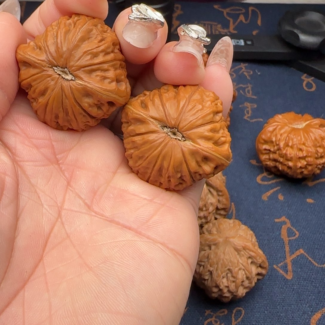 核桃?****39铁锤妹妹狮子头