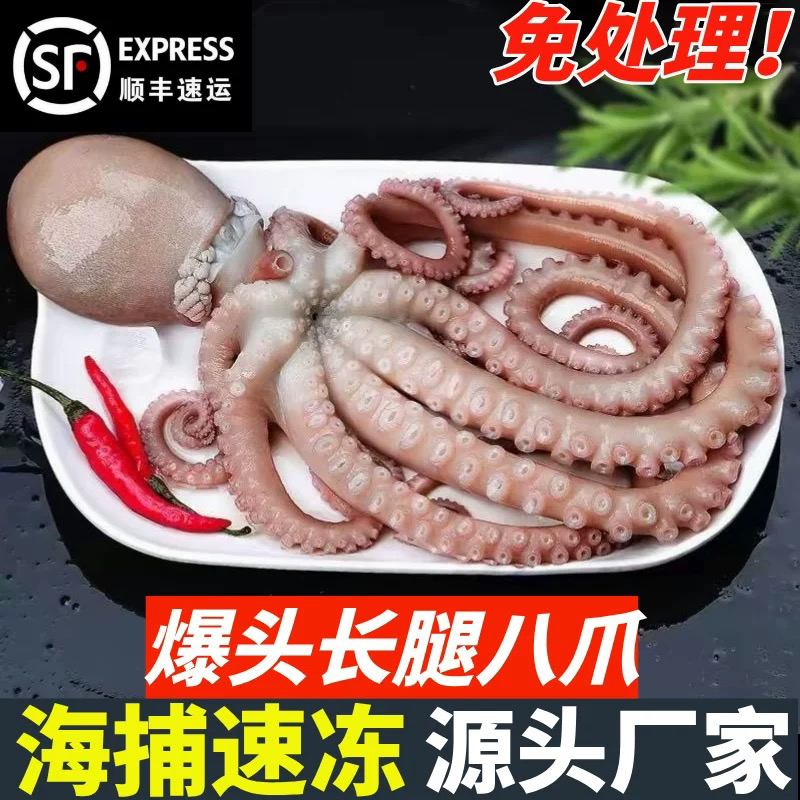 当天鲜活速冻 长腿爆头八爪鱼2斤-4斤 顺丰包邮