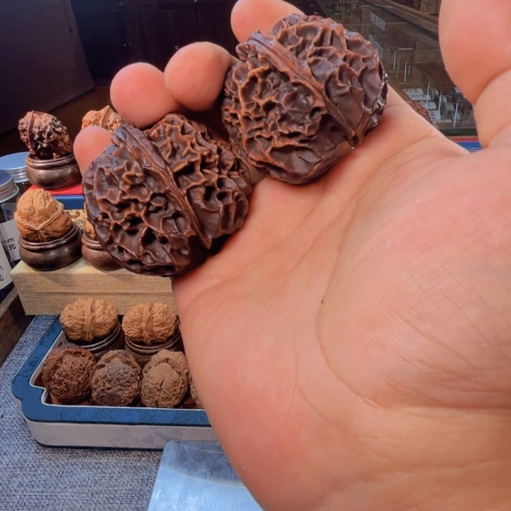 文玩核桃/凤凰牡丹44尺