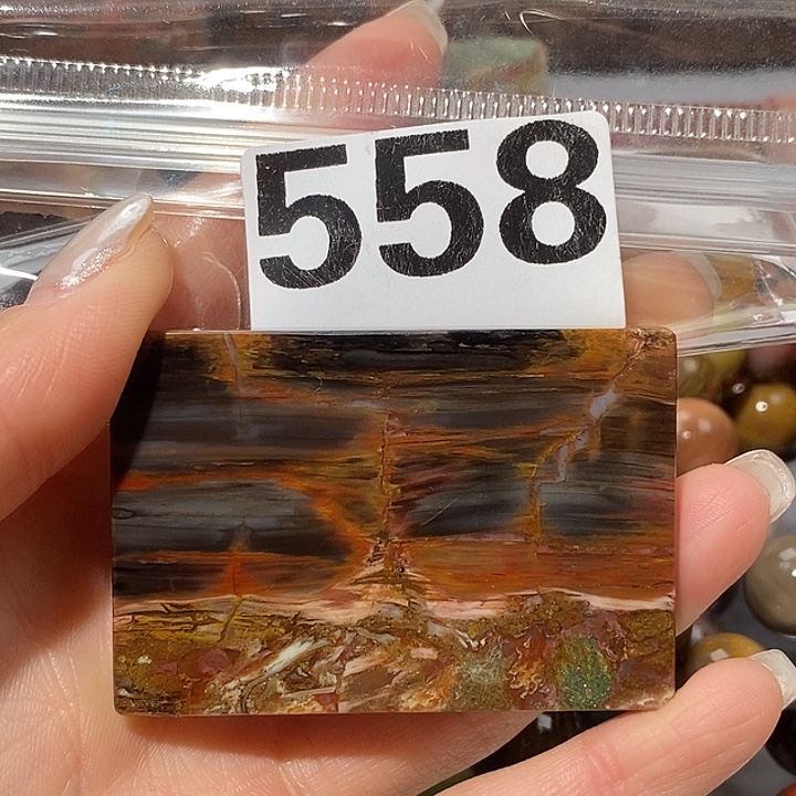 硅化玉未镶嵌天然北票树化玉吊坠