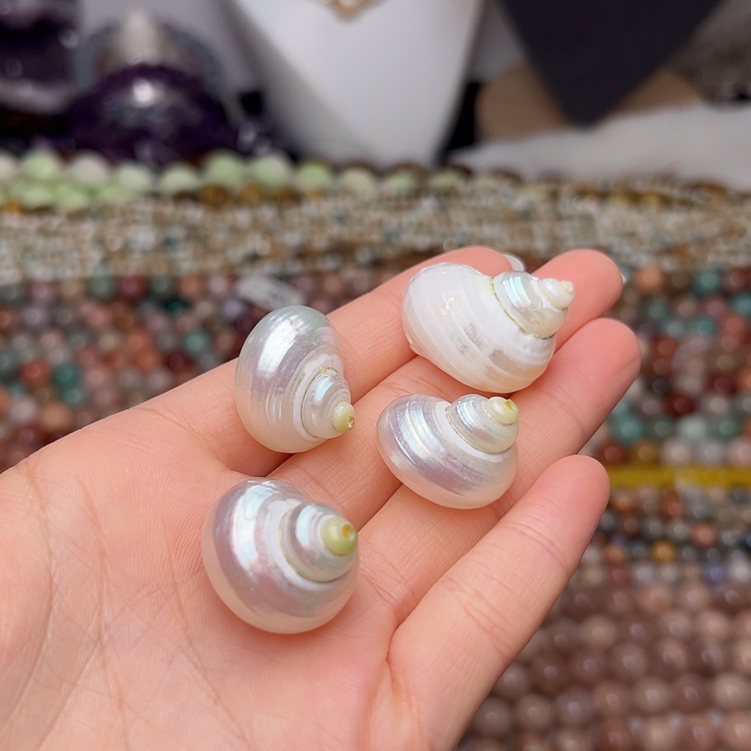 玛瑙/玉髓合金珠宝半成品Y579。贝珠螺吊坠一个