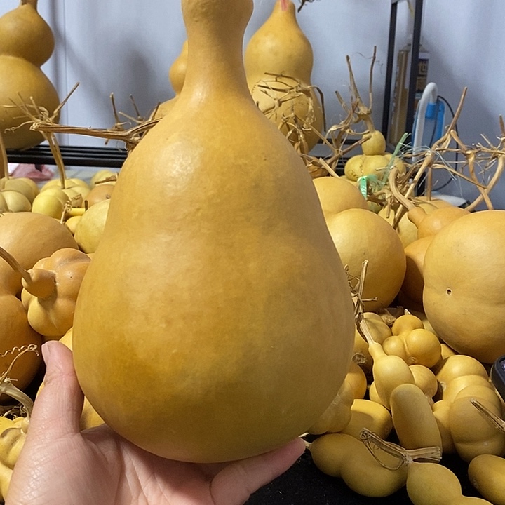 只****好葫芦的颜色是蓝色还是