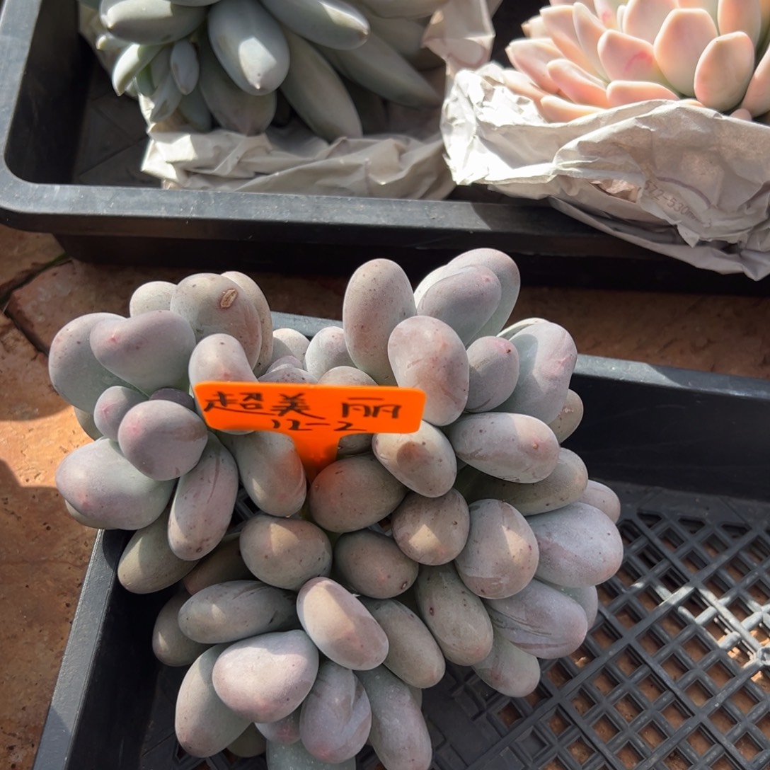 12211111111111111111111