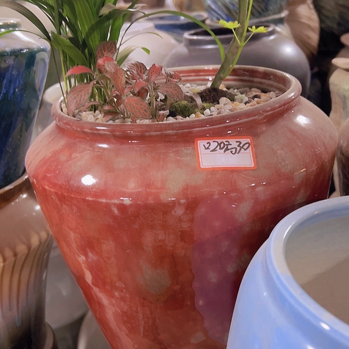 景德镇精品花盆栽适合盆栽