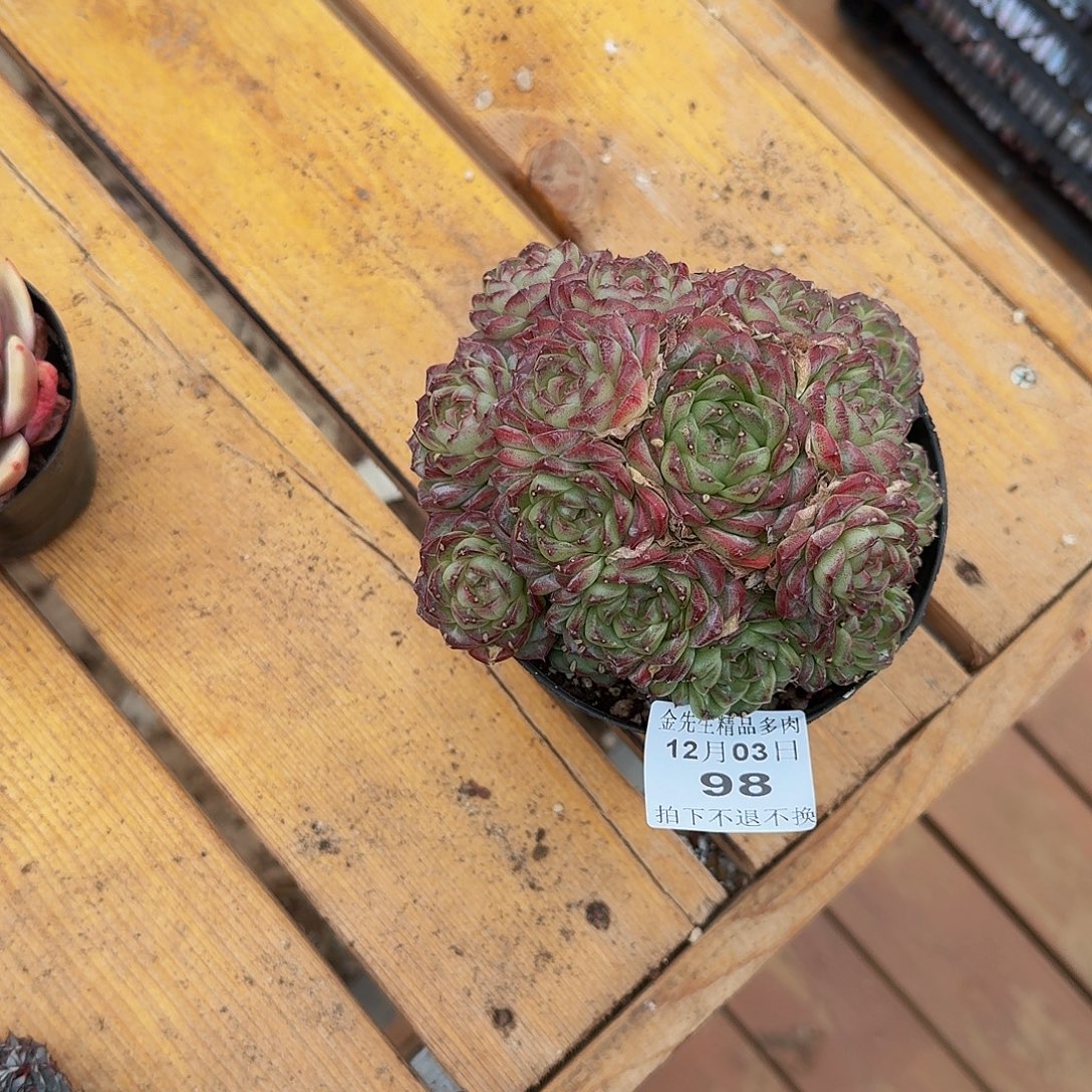 8***01203-98溏心群生a