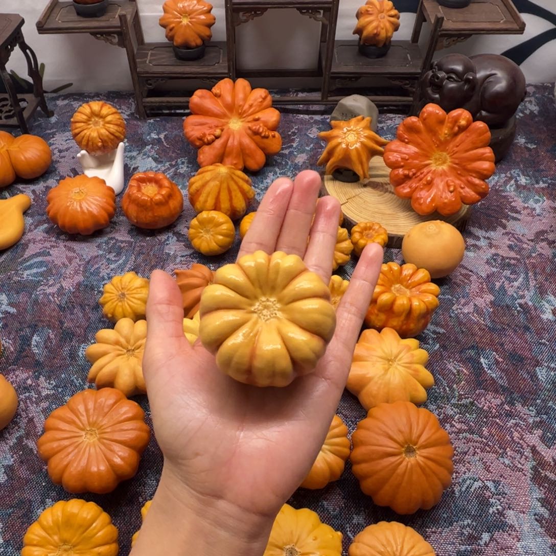 墨西哥葫芦南瓜墩