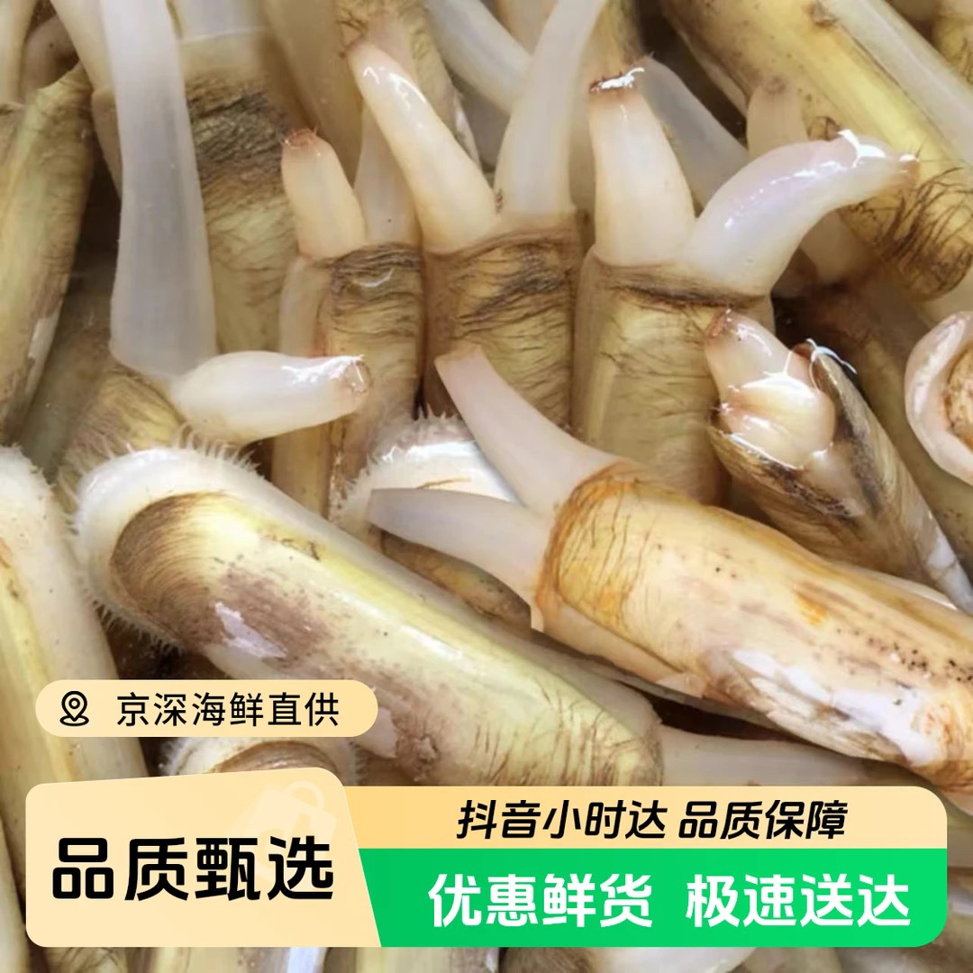 鲜活蛏子500g/份