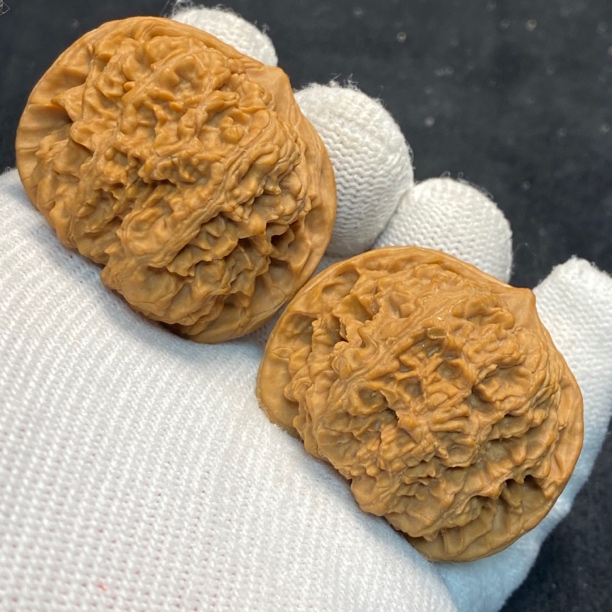 40全品皇家正圆核桃（0790）一物一图，边40肚40/41高33