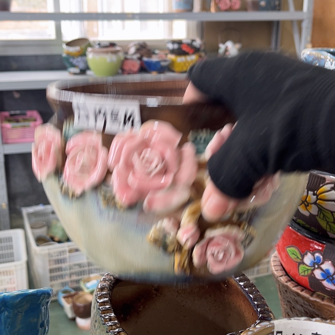 【闪购商品】红陶福利