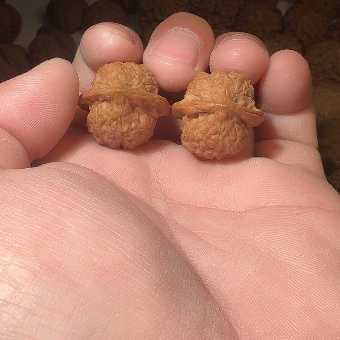 暴***哥猴头核桃吊坠文玩