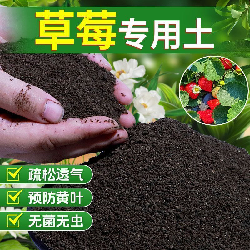 种草莓专用土营养土阳台草莓肥料专用肥盆栽草莓苗土壤泥土种植土