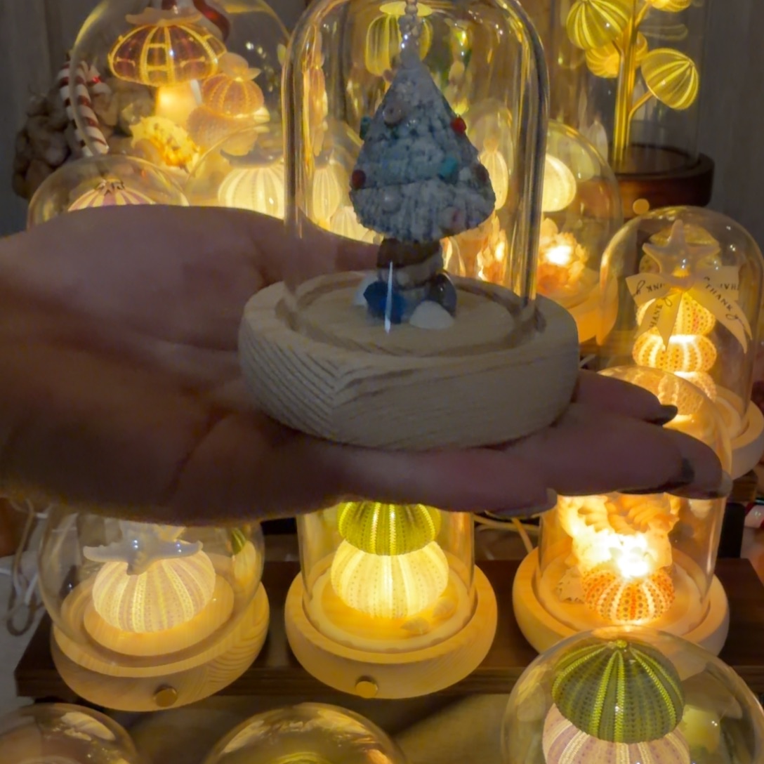 贝壳圣诞节桌面小摆件