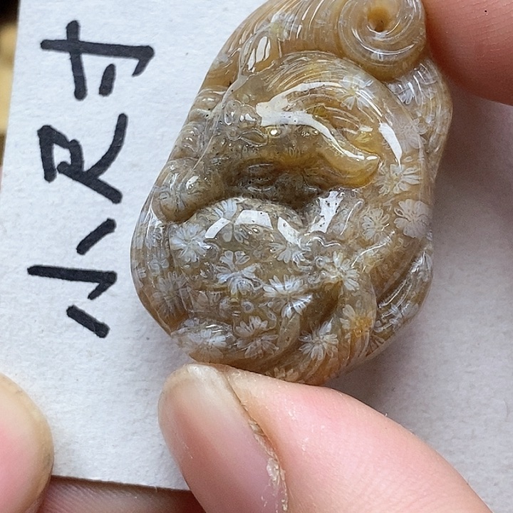 颈饰未镶嵌硅化珊瑚（珊瑚玉）