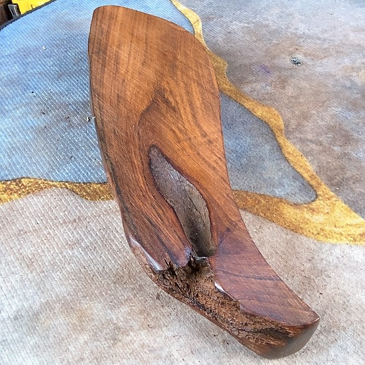 奥氏黄檀（白酸枝）春*033