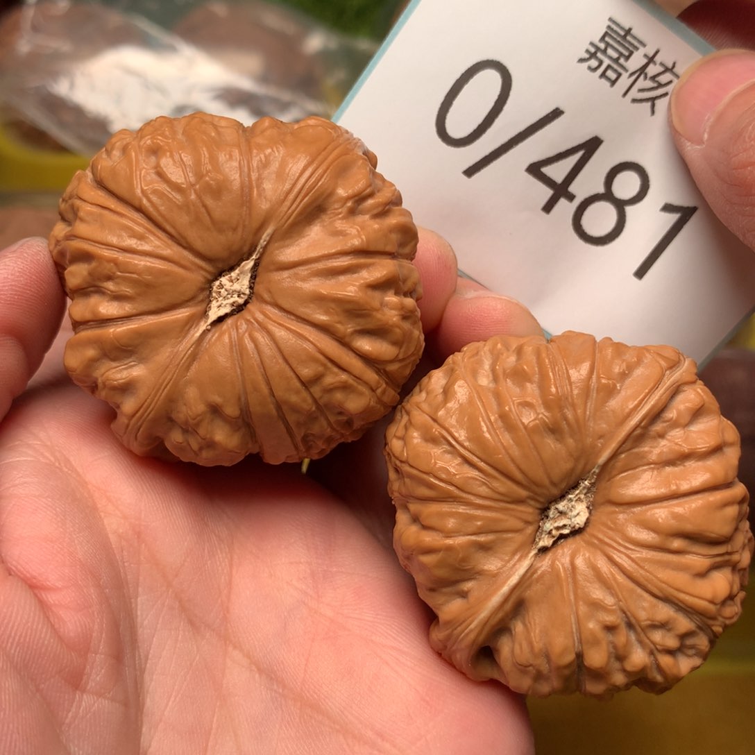 文玩核桃把件毕业南瓜墩45