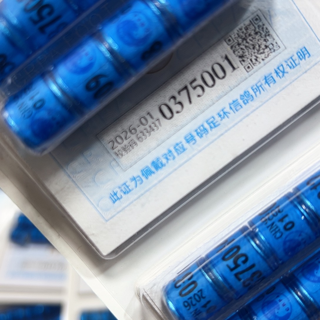 温****！0375001 01 信鸽环