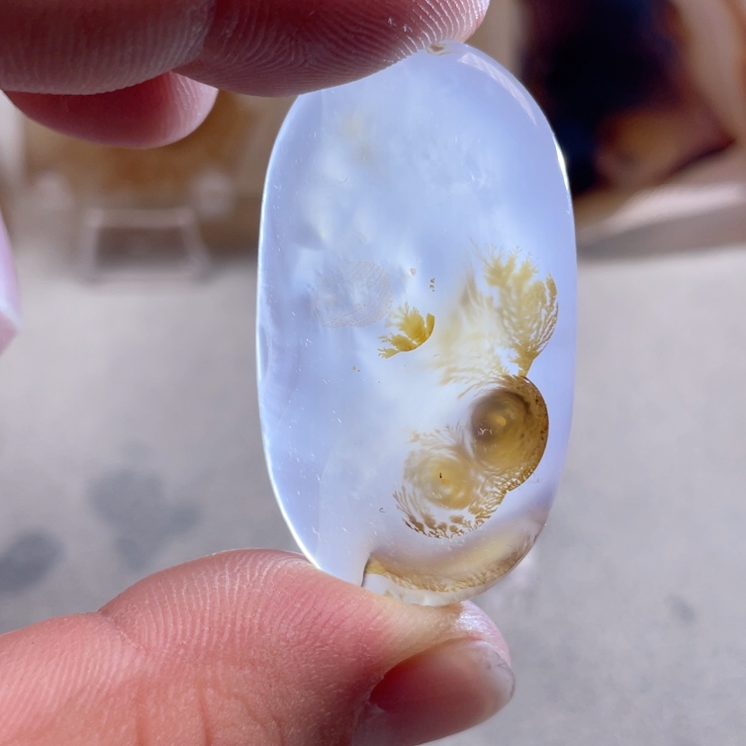 【闪购商品】玛瑙/玉髓颈饰合金