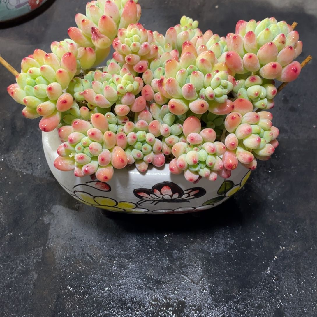 满68包邮发中通快递