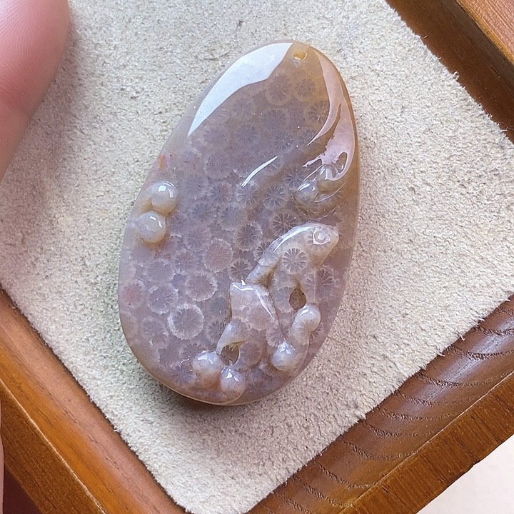 硅化玉颈饰未镶嵌
