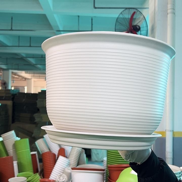 正品矮陶口36高25白色3只带托