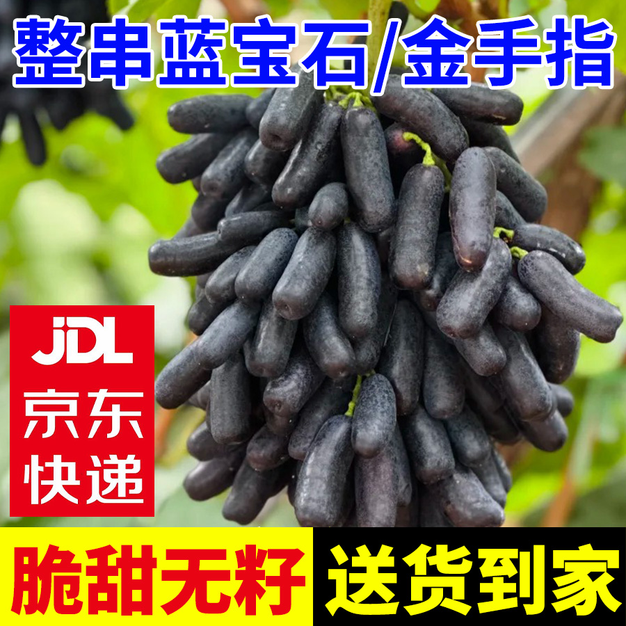 【京东包邮】蓝宝石葡萄无籽金手指脆甜爆汁应季新鲜产地直发