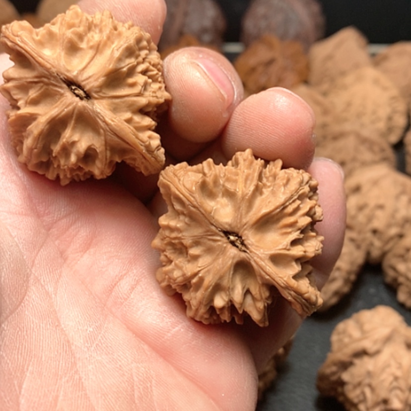 【闪购商品】有*米野生平鼎