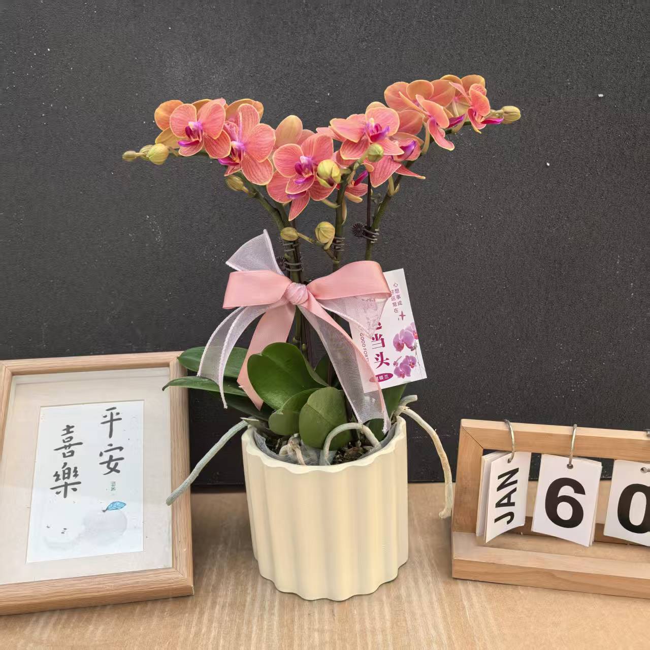 《博尔扎诺》蝴蝶兰艺术组盆鲜花摆设高端花卉