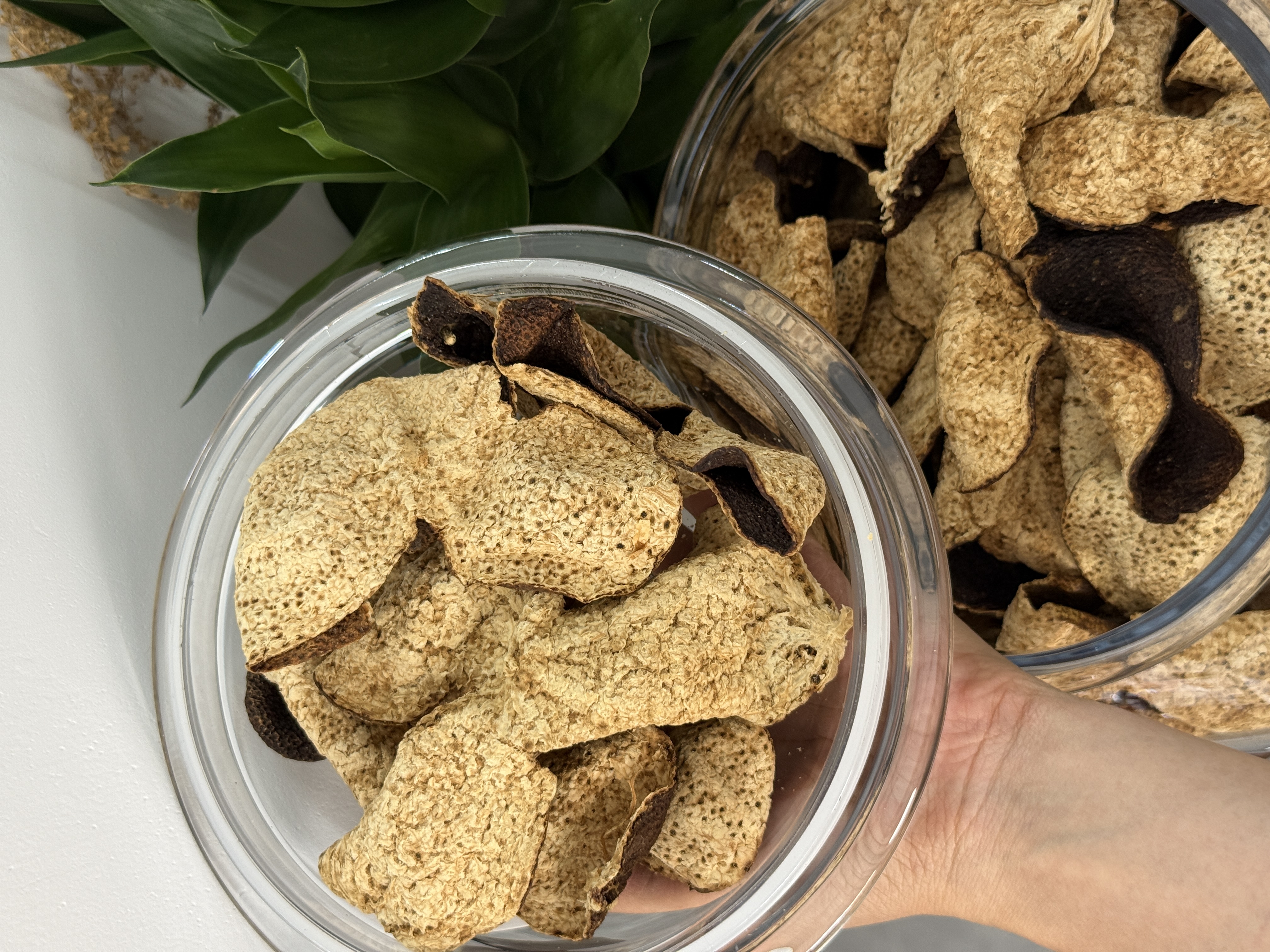 2019年东甲冬后皮-冰糖韵-冰糖甜-新会陈皮