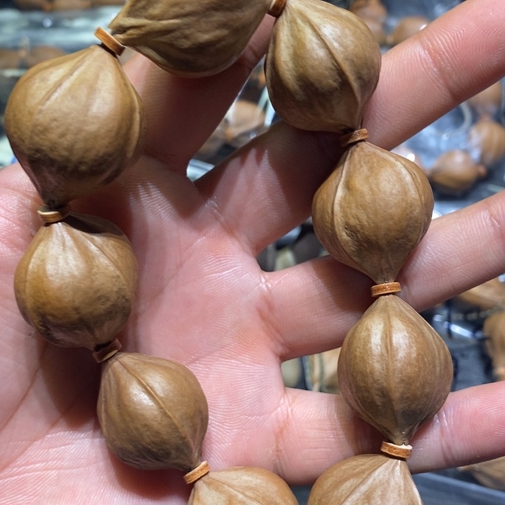 雨***天橄榄核吊坠梅林铁核