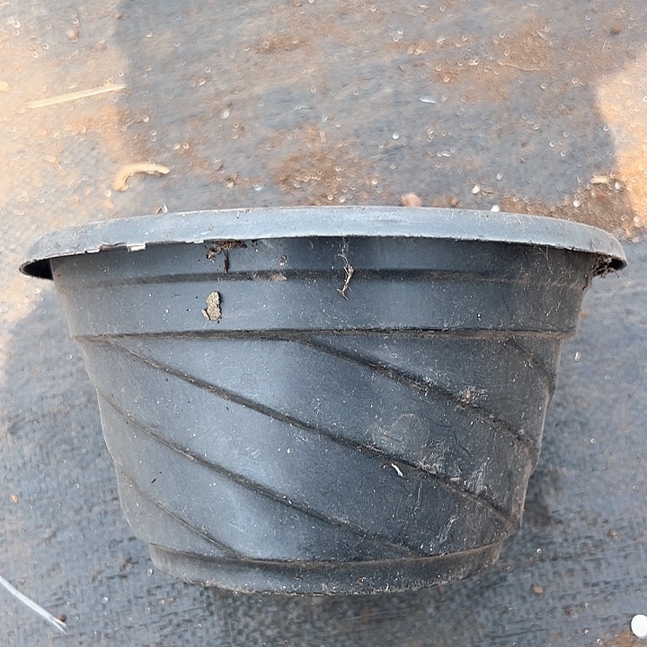 红陶口径20高度11 黑螺旋一组15个