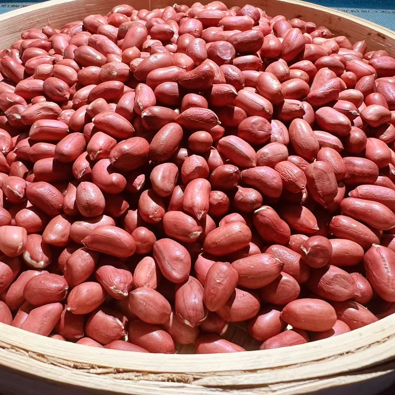 精选农家特级可煲汤滋补鲜甜可口A38