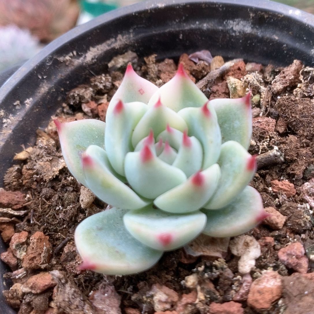 132锦锦锦锦锦锦锦