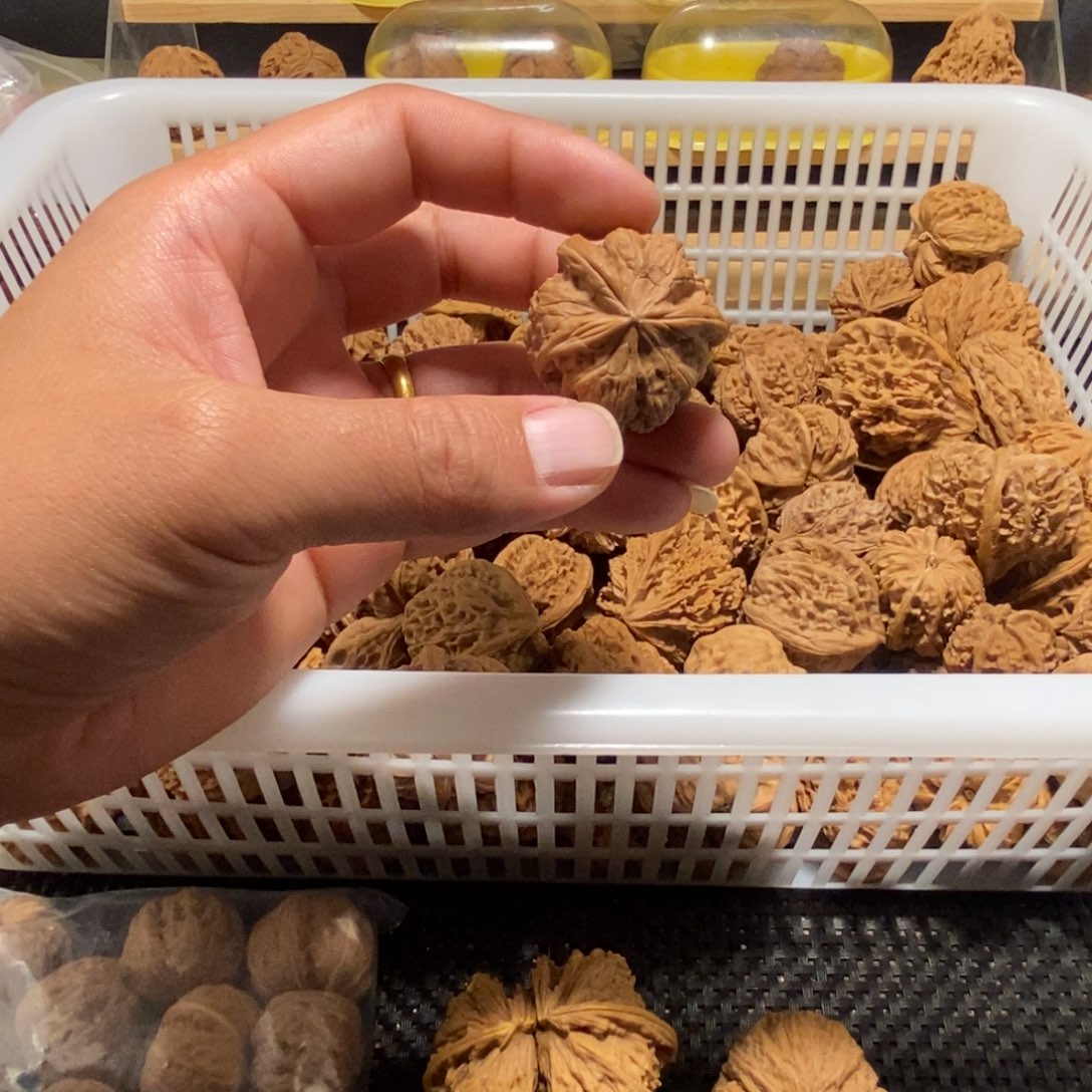 燃***坐核桃异形单只异形