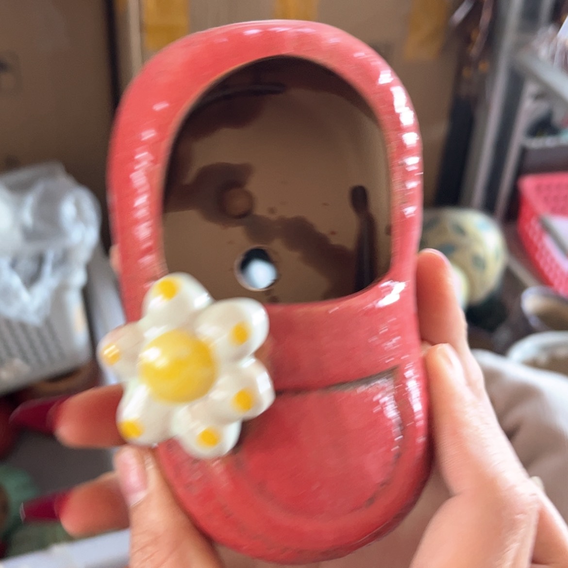 【闪购商品】红陶福利