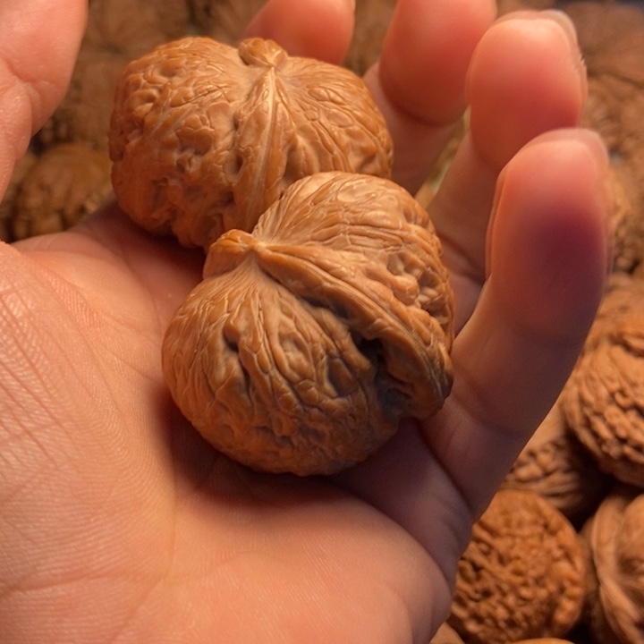 你***吧麻瓜1234555件包1紫牙乌/石榴石（处理）