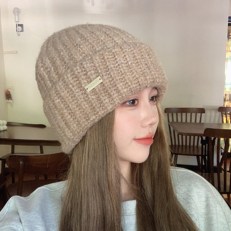 网红帽子女时尚百搭保暖针织帽韩版冬季防寒冷帽大头围毛线帽女
