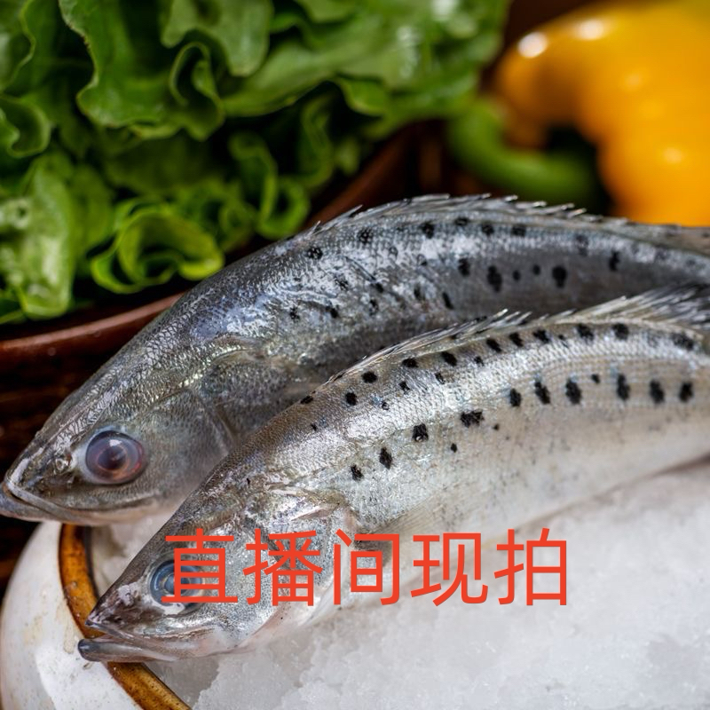 直播间现拍海鲜链接海鱼海鲜新鲜顺丰发货