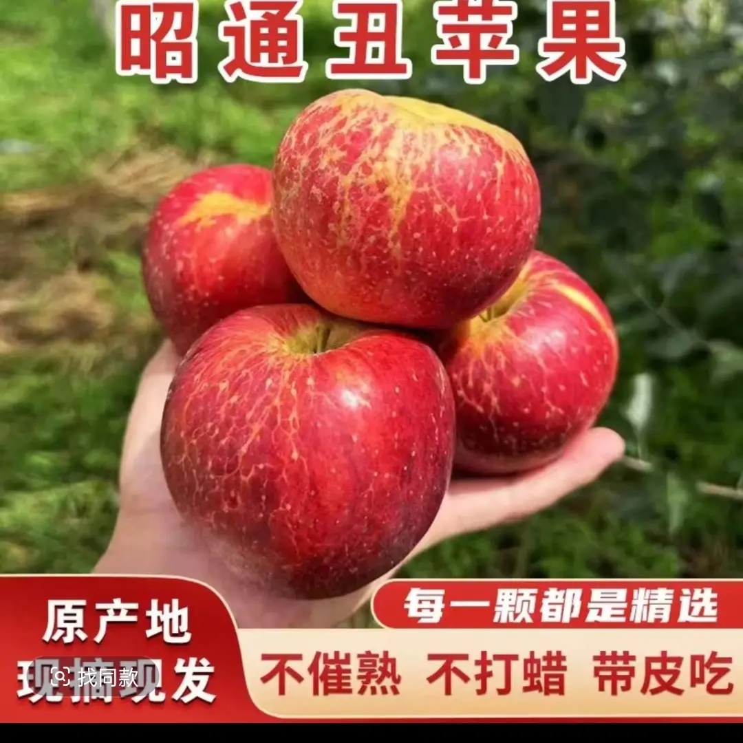 昭通糖心苹果真实云南昭通正宗果园直供现摘美国2025抖音发货照片