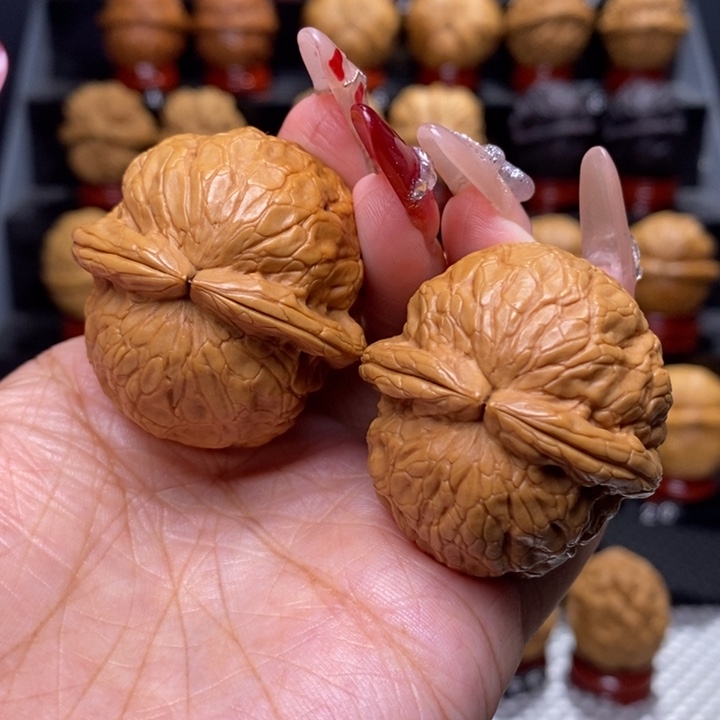 文玩核桃把件?***?金龟玉甲8号