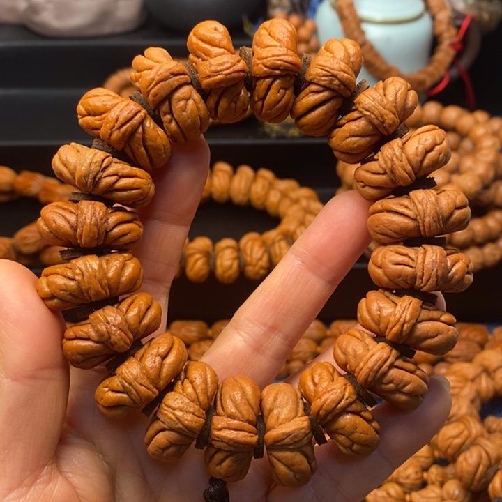 秦岭野生霸王龙。       