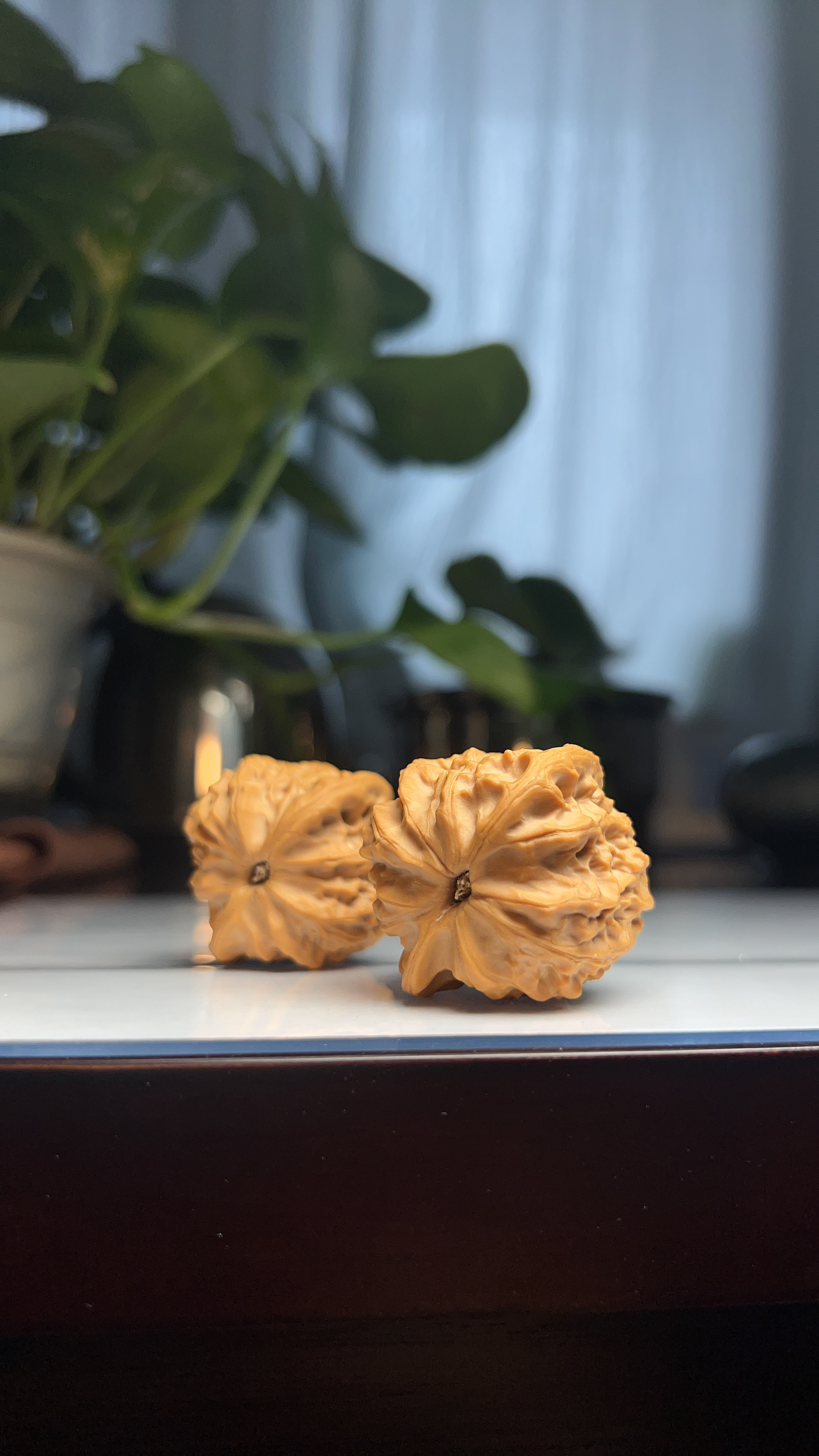 老孙家文玩核桃  虎头王