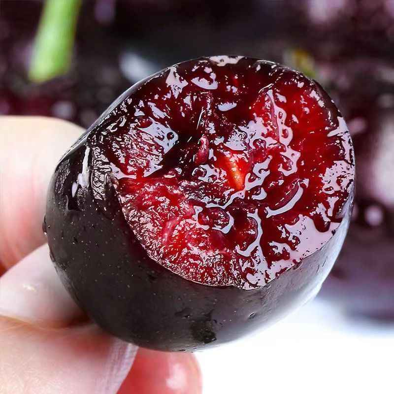 【智利进口海运】黑3JD车厘子桑缇娜800g-5斤原箱新鲜 内附果径卡桑提娜樱桃智利共和国