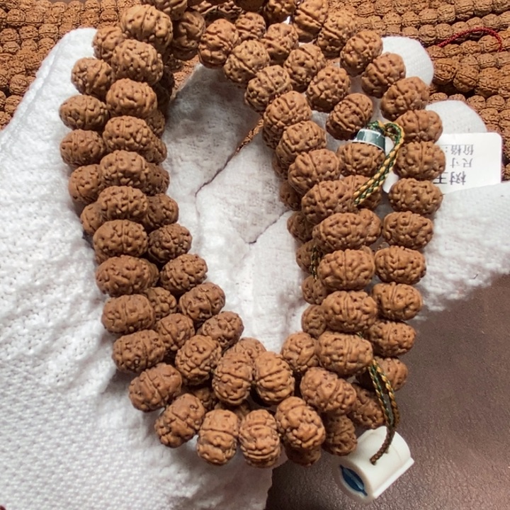 貣***瓜金刚菩提吊坠树王