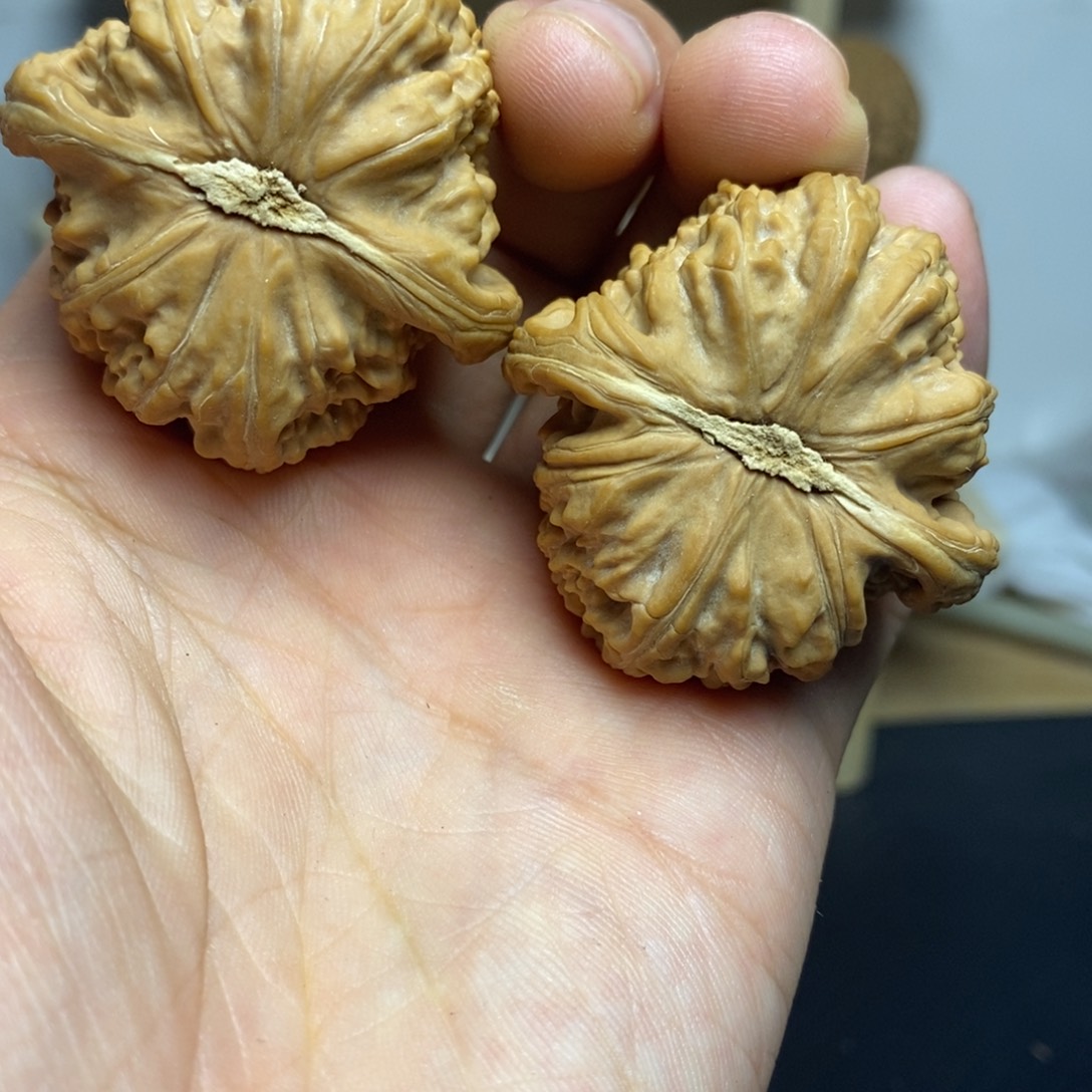 Y***e大叶紫檀（黑酸枝木类）42白狮子一对