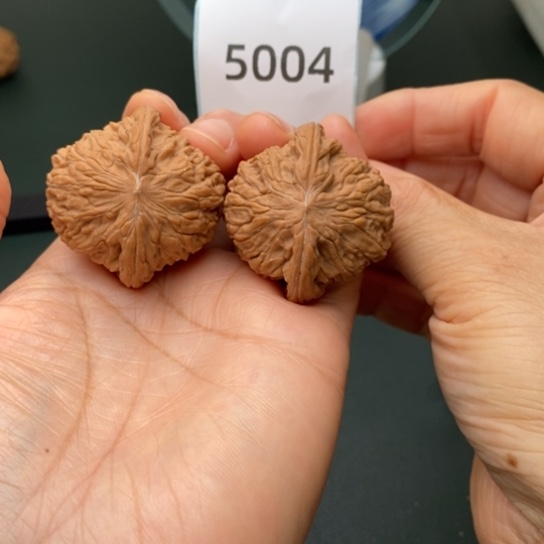 把件文玩核桃39全品磨盘5004