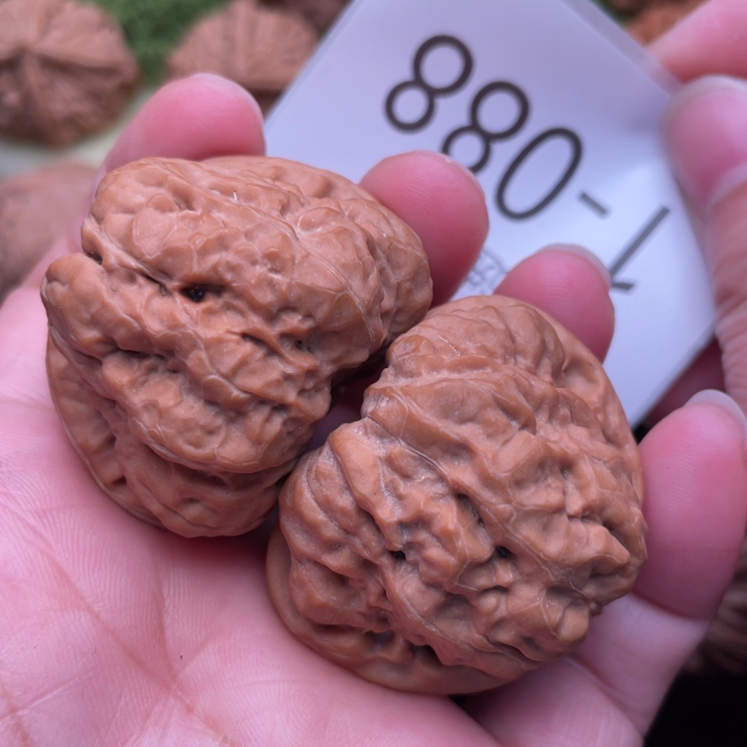 文玩核桃把件精配三角肌肉蛙40