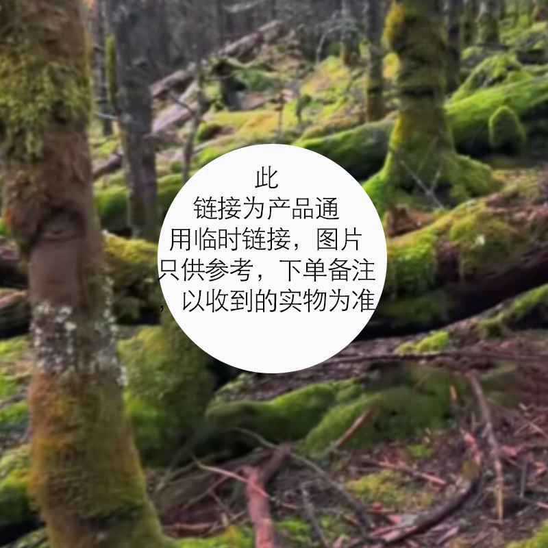 临时链接 在线看货下单 以实物为准 菌菇云南干货特产菌子