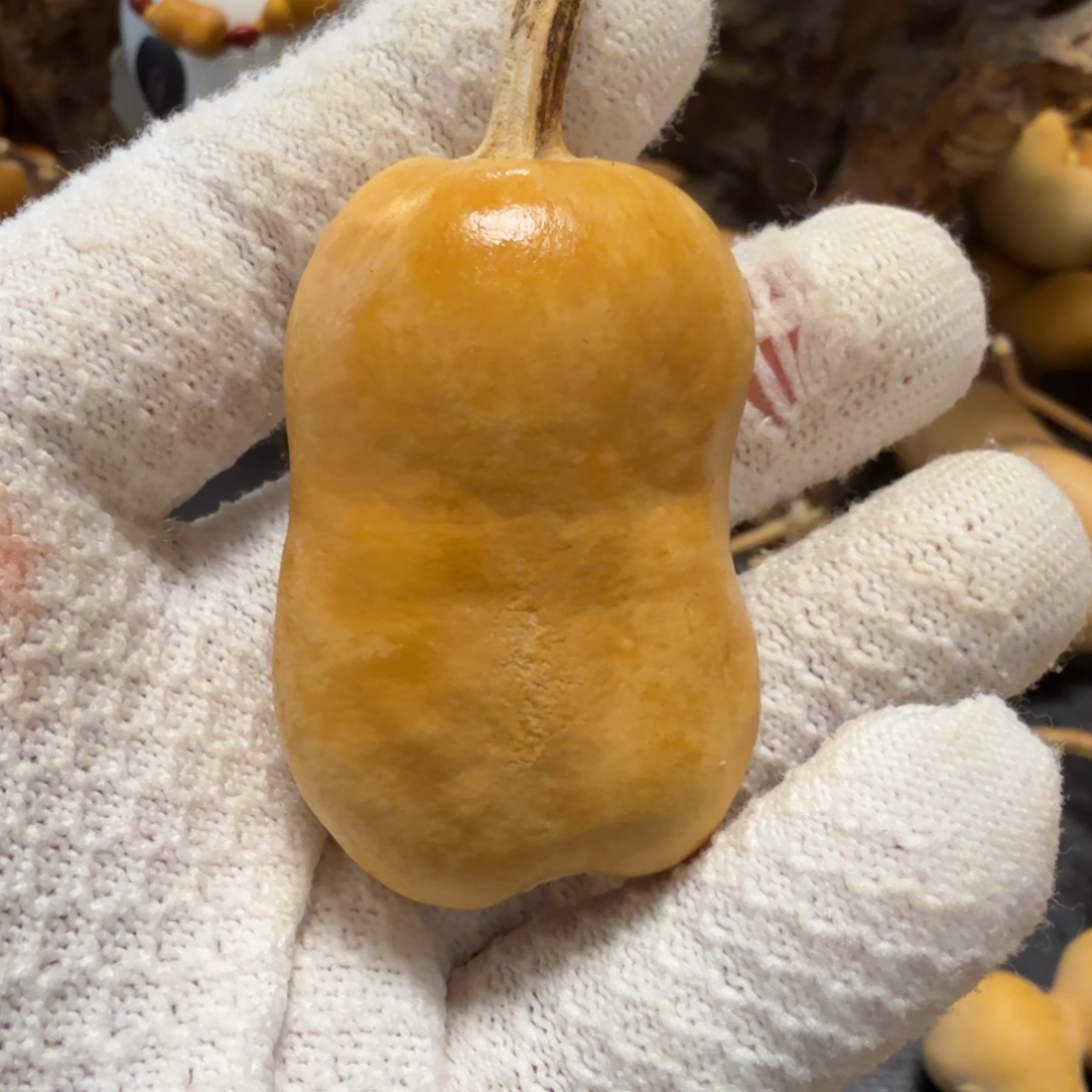 二***哥666666666676677766666666